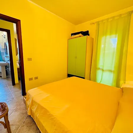 Shardana In Centro